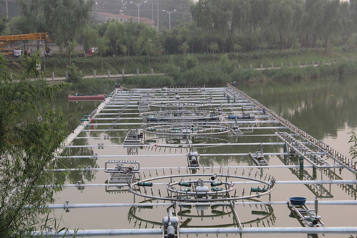 天水市风情音乐喷泉